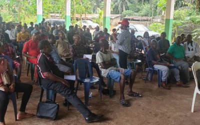 CSAAE PARTNERS WITH THE MATER FARM PROJECT  IN EMPOWERING  EZIALA NGURU MBAISE  ENTREPRENEURS, WITH  DIGITAL  SKILLS TRAINING