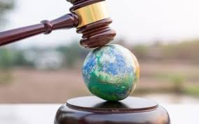 ENVIRONMENTAL LAWS IN NIGERIA: BALANCING DEVELOPMENT WITH ENVIRONMENTAL SUSTAINABILITY