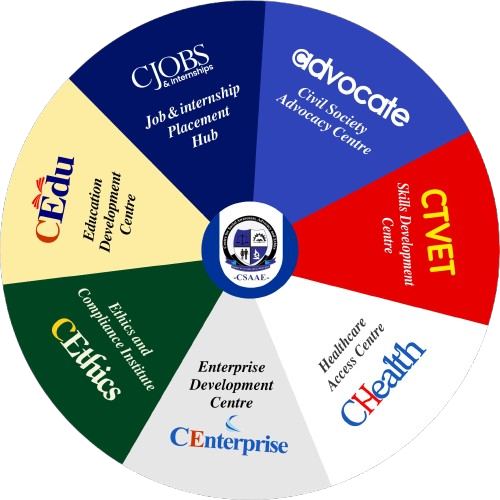 Csaae Spin Removebg Preview